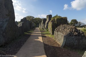 Rundgang durch den Jeju Stone Park
