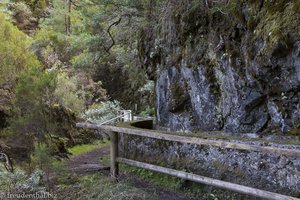 Levada auf dem Weg nach Los Tilos