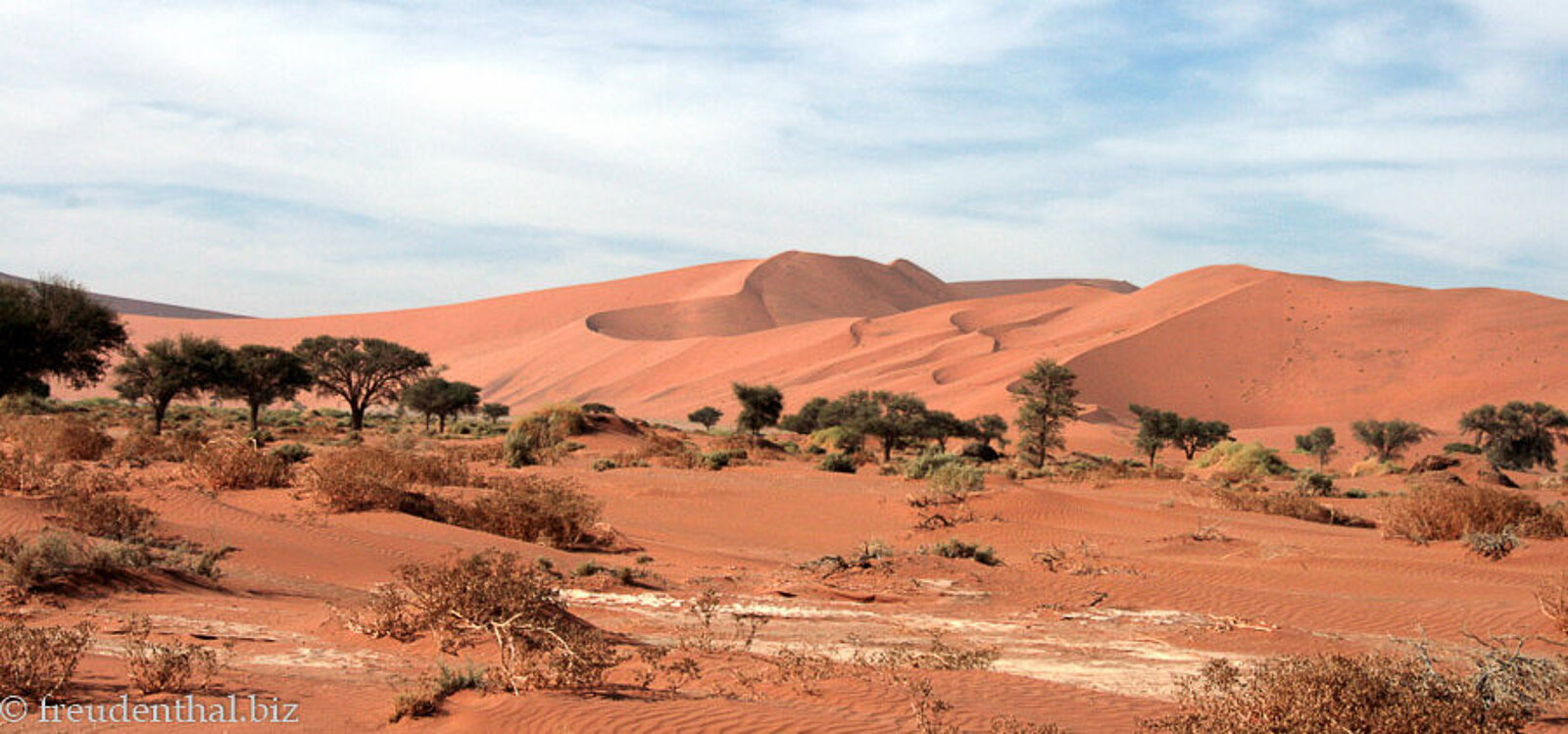 Aussicht über das Dead Vlei zu den Dünen von Sossusvlei in Namibia