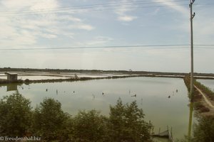 Saline von Samut Sogkram