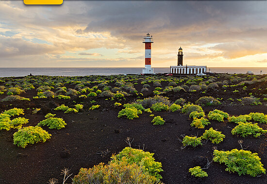 Wanderführer La Palma MM