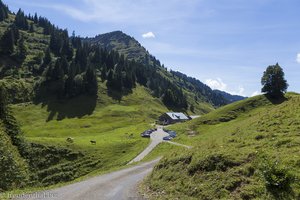 Die Alpe Scheidwang