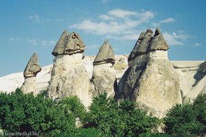 Wohnkegel und Feenkamine im Pasabag-Tal