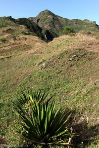 Wanderung nach Gongong