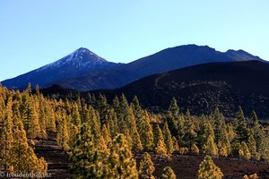 Blick vom Mirador Samara zum Teide