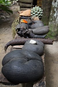 Früchteausstellung beim Eingang des Nationalparks Vallée de Mai