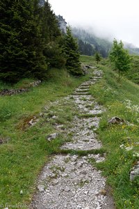 Bergweg von Ruhsitz auf den Hohen Kasten