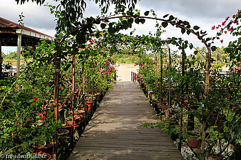 Eingang zum Abai Jungle Restaurant