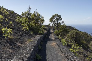 Ein schöner Weg zum Gipfel des Volcán de San Antonio