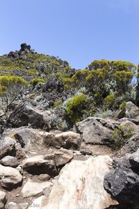 Wanderung beim Piton des Neiges