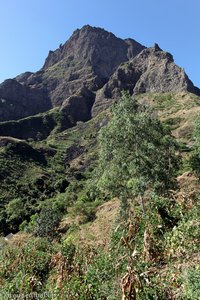 Blick zum Gipfel des Pico da Antonia