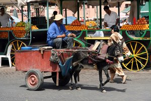 einer der wenigen übrig gebliebenen Eselskarren beim Djemaa el-Fna