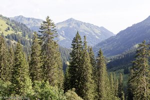 Blick über das Kleinwalsertal