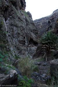 einer der vielen Abstürze im Barranco de Masca