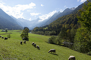 Bei Oberstdorf laden Täler zu leichten Wanderungen ein.