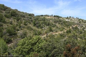 Wanderweg zwischen Port de Sóller und Deía bzw. Sóller