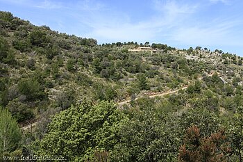 Wanderweg zwischen Port de Sóller und Deía bzw. Sóller