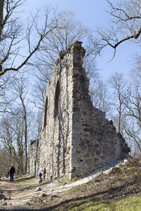 Ruine im Wald von Krimulda