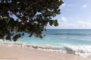 Strand an der Takamaka