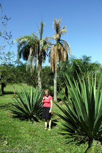 Annette im Palmengarten