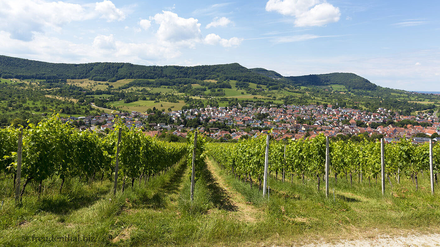 Weinberge bei Neuffen