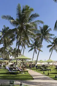 Garten mit Liegen beim Hilton Salalah Resort im Oman