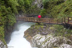 Anne - einsam in der Vintgar Klamm