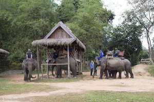 Starthütte für das Elefantentrekking in Laos