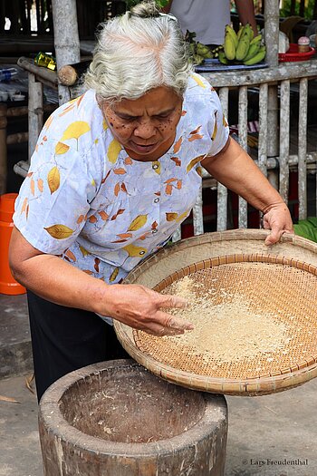 Frau beim traditionellen Sichten und Worfeln von Reis in Vietnam