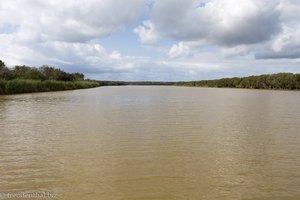 im Wetlandpark bei St. Lucia