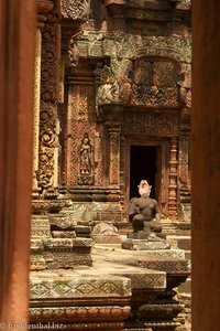 Blick durch die Fenster von Banteay Srei