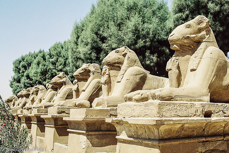 Shingen bei Luxor