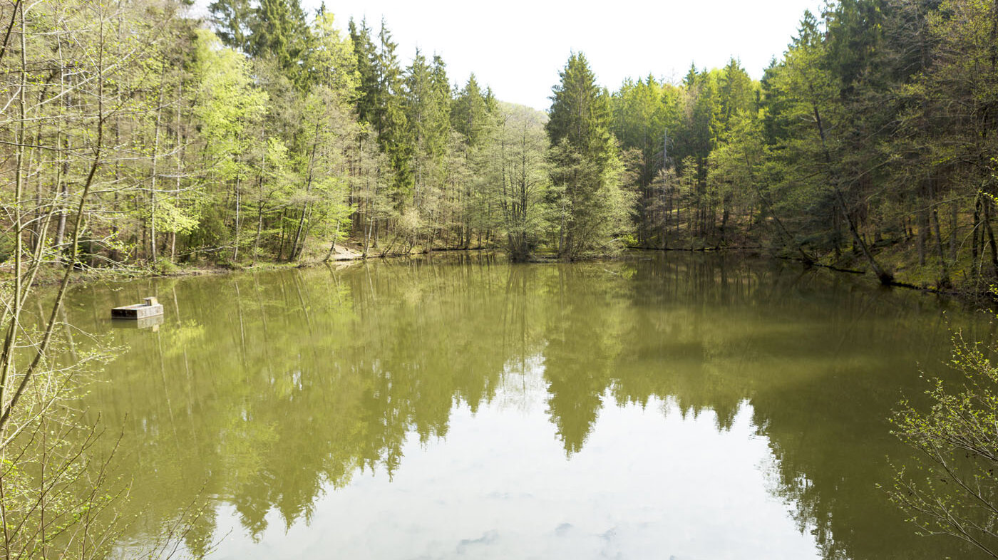 Blick über den Linsenholzsee