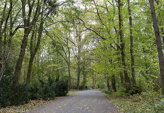 Spazierweg im Großen Tiergarten von Berlin