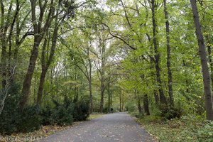 Großer Tiergarten