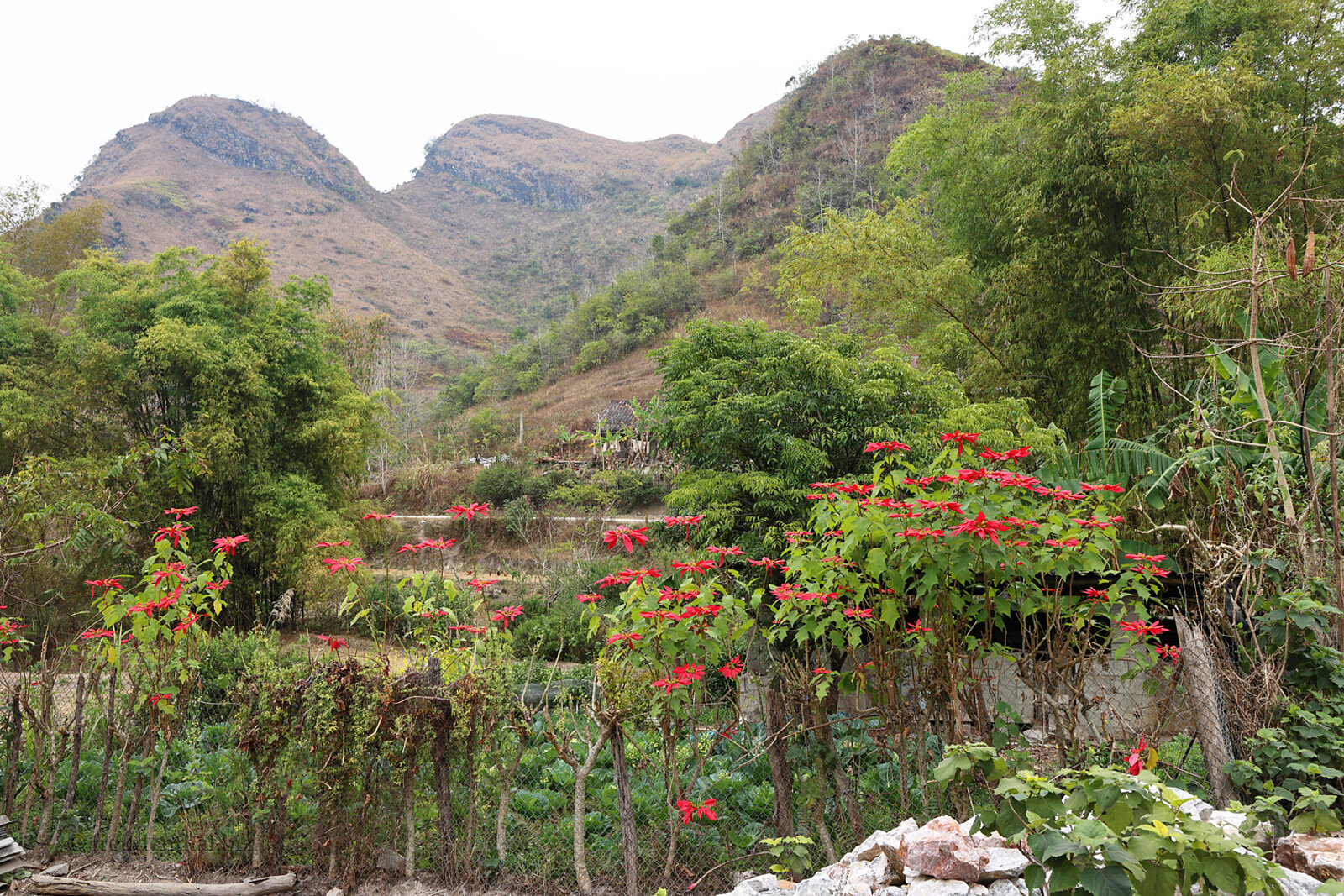Eindrücke unserer Trekking-Tour auf den Vinh Quy Grass Hill in Vietnam