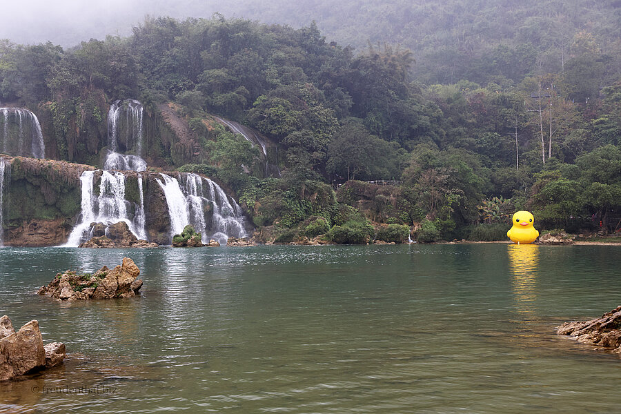 Die gelbe Ente rechts im Bild befindet sich auf der chinesischen Seite der Wasserfälle.