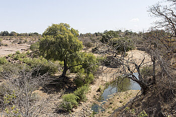 Red Rocks im Krüger Nationalpark