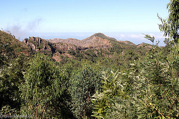 im Naturpark Serra Malagueta