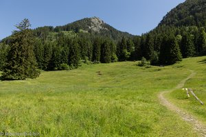 Aufstieg über die Alpe Weiherle auf den Grünten