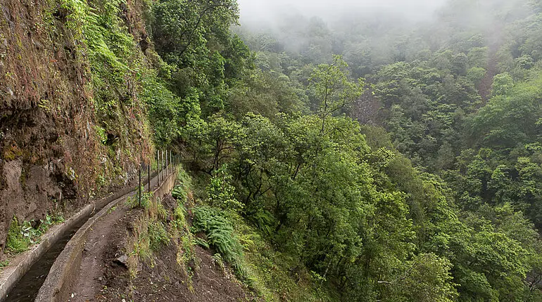 Wanderweg entlang der Levada do Castelejo