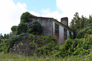 Haus mit Erdbebenschäden in Ribeirinha