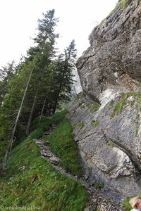 Steiler Abschnitt auf dem Heitertannliweg