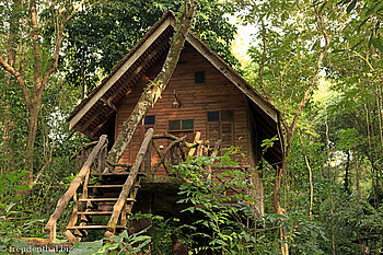 Baumhaus in der Art's Riverview Lodge