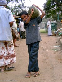 Ein Junge auf dem Markt von Bandarawela