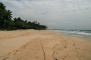 Strand beim Hotel Wilde Ananas