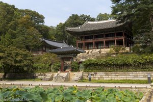 Biwon – der Geheime Garten des Changdeokgung