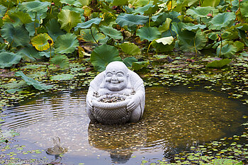 Dicker Buddha im Lotusteich des Naksansa Tempel