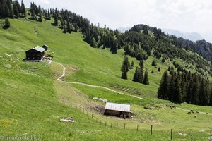 Blick vom Siechenberg auf das Grüntenhaus