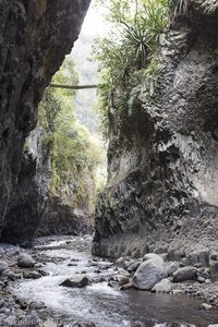 Flusswanderung Bras de la Plaine